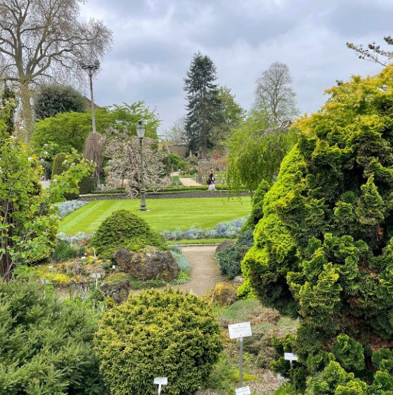 Hortus Botanicus Lovaniensis, Belgium